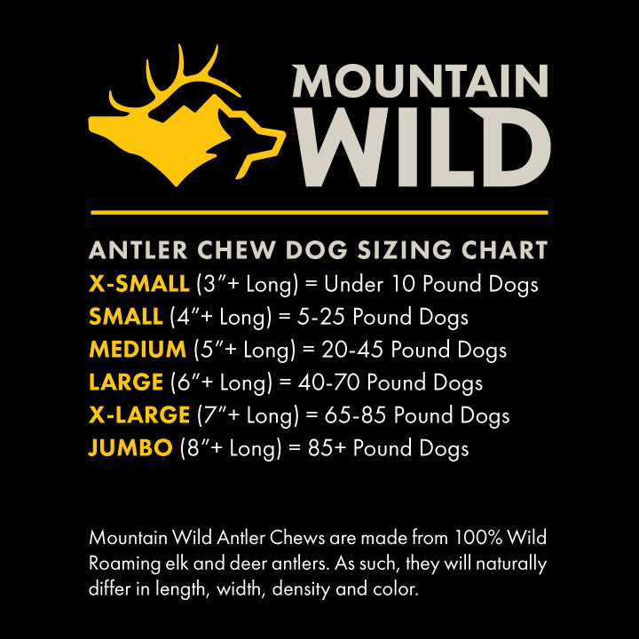 Dog Antler Chews – 100% Wild-Sourced Elk | Mountain Wild Pet