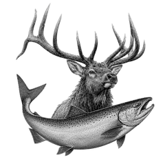Wild elk and wild salmon