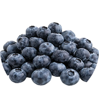 Wild Blueberries
