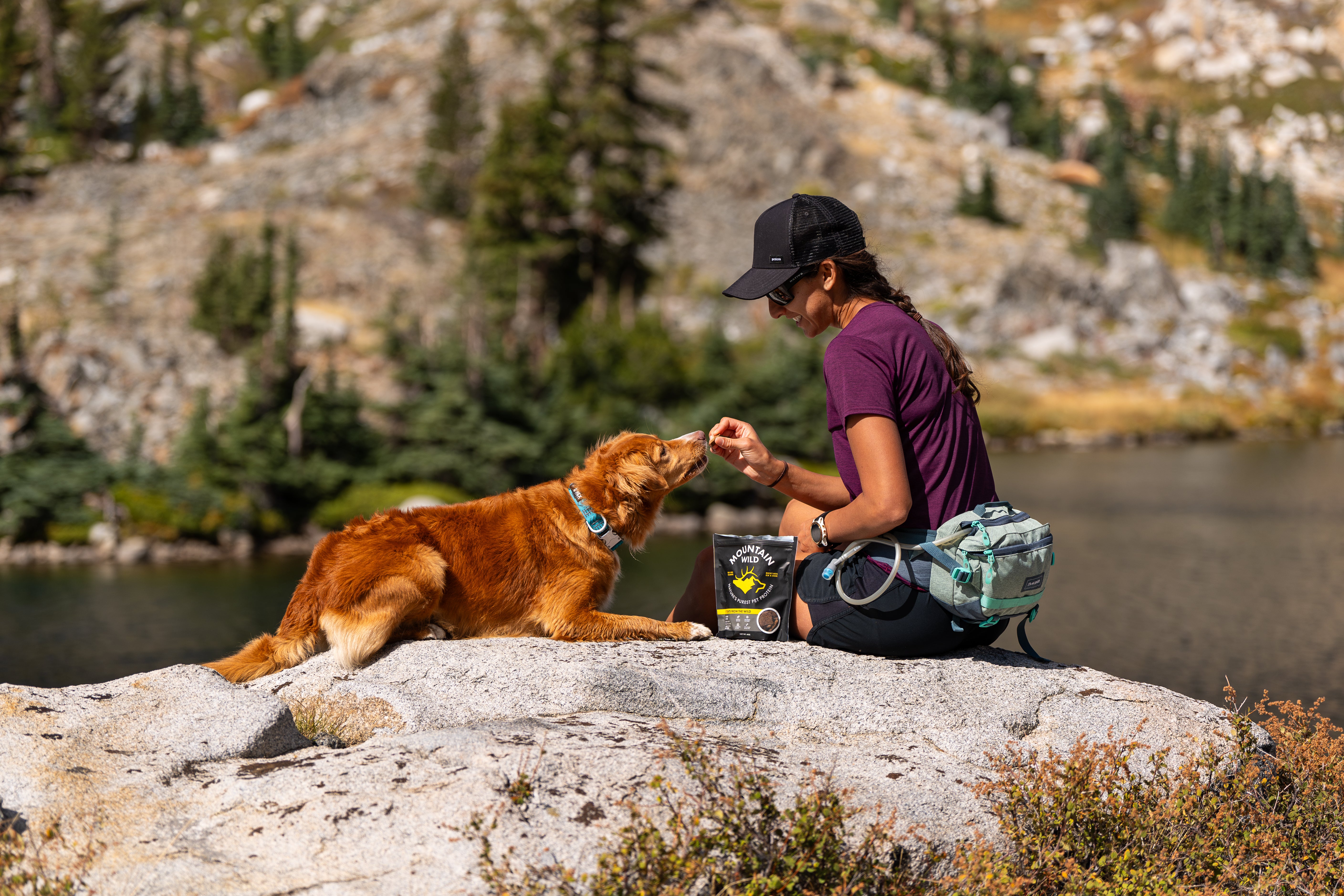 About Us – Mountain Wild Pet