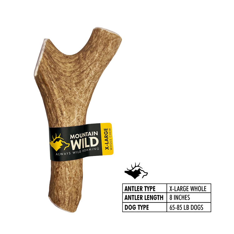Dog Antler Chews – 100% Wild-Sourced Elk | Mountain Wild Pet