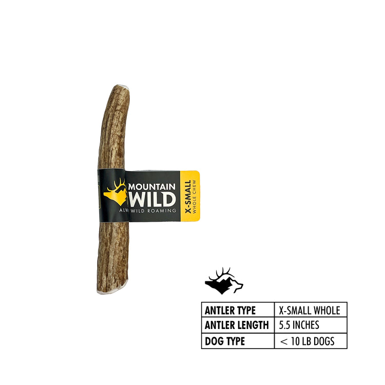 Mountain Wild Whole Antler Chew – X-Small size, 5.5 inches, for dogs under 10 lbs
