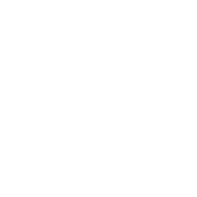 Diamond Authenticity