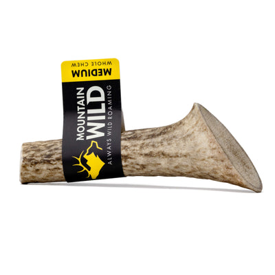 WHOLE ANTLER CHEWS